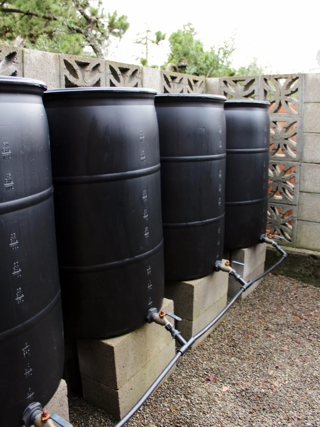 Diy Rain Barrels
