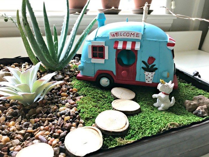 Friday Favorites: Succulent Garden and Brick Backsplash