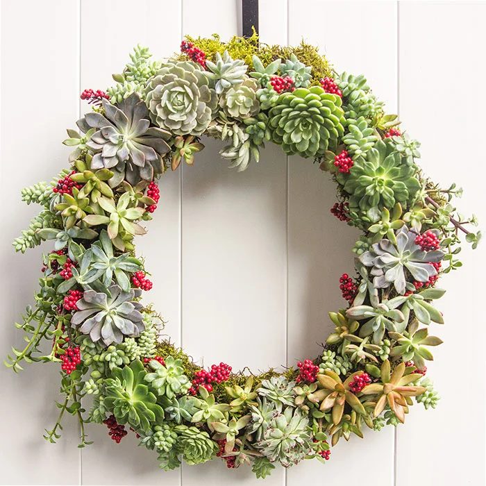 Friday Favorites: Succulent Wreaths and Buffalo Check