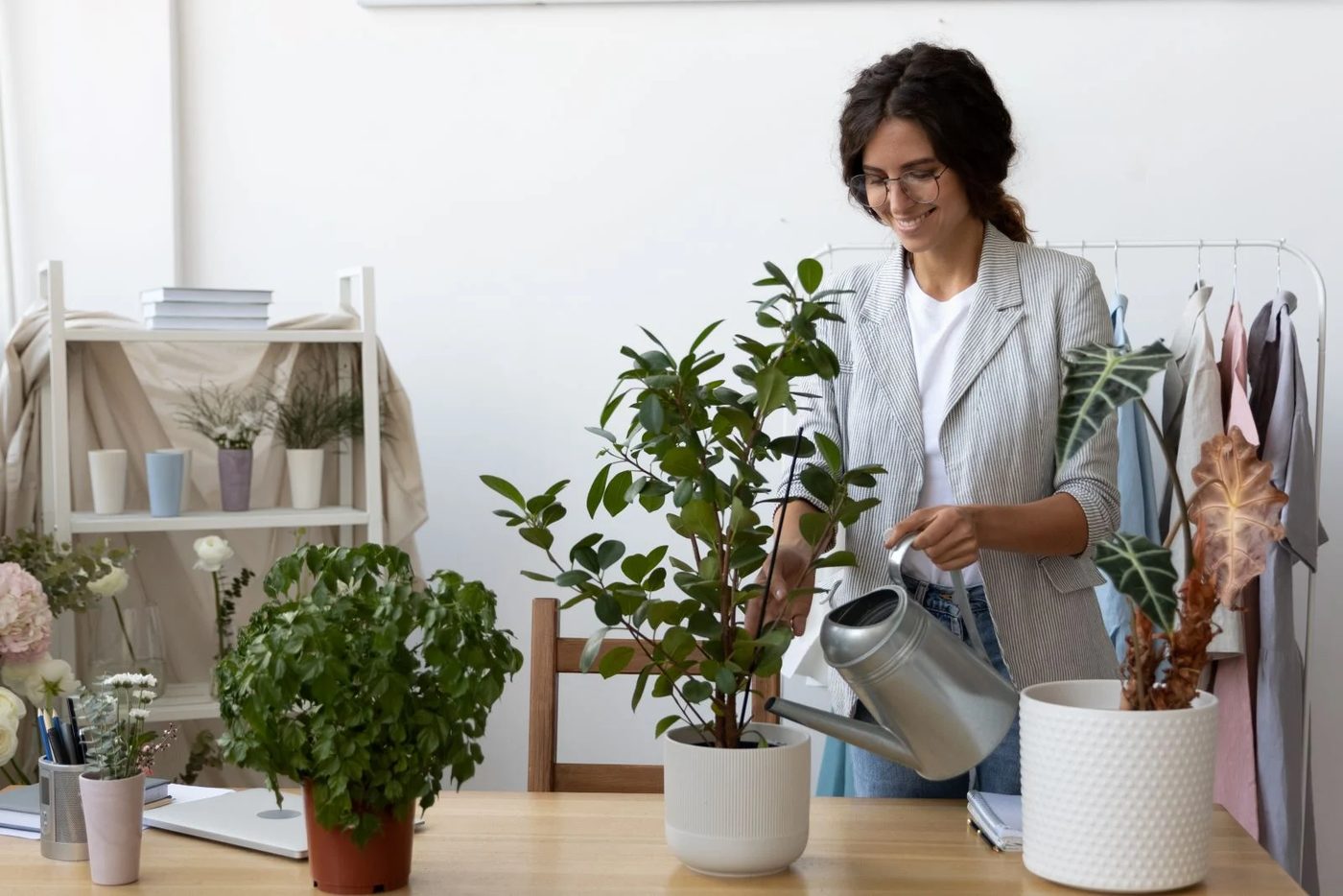 Low Maintenance Houseplants