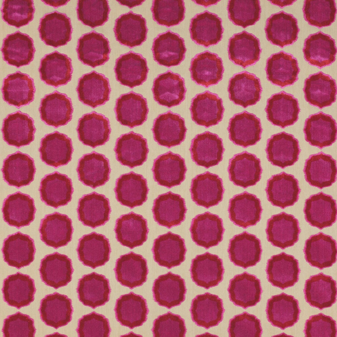 Tiana by Manuel Canovas