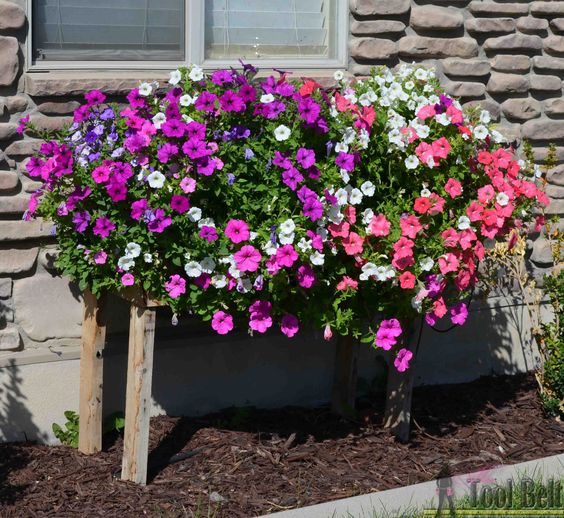 Outdoor 2x4 Projects Built with Structural Lumber - Planters, Furniture, Games, and More!