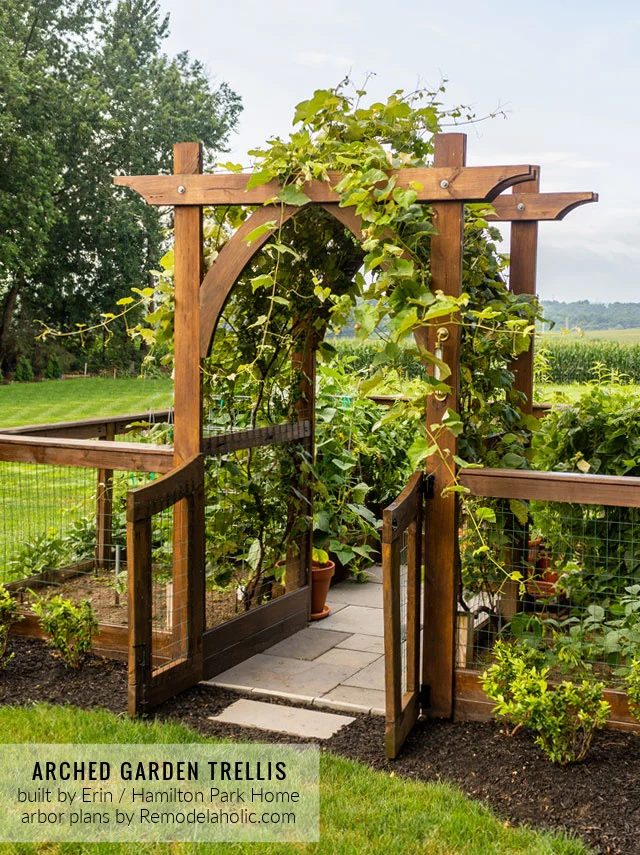 Arched Garden Arbor Trellis For Grapes, Fenced Raised Garden Boxes By Hamilton Park Home, Trellis Plans Bekob