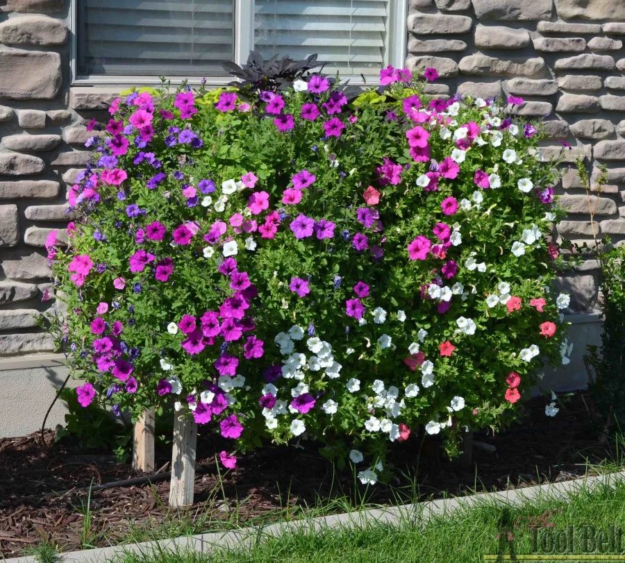 Cascading Flower Planter Box By Hertoolbelt