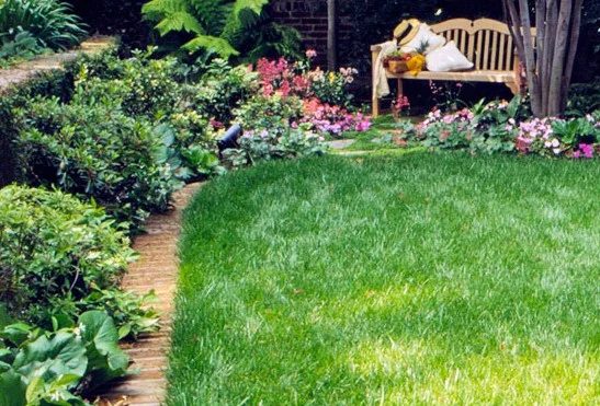 27 striking Garden Edging options