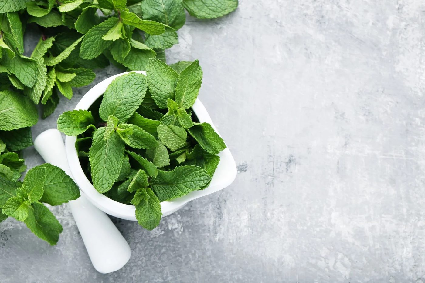 Mint Leaves