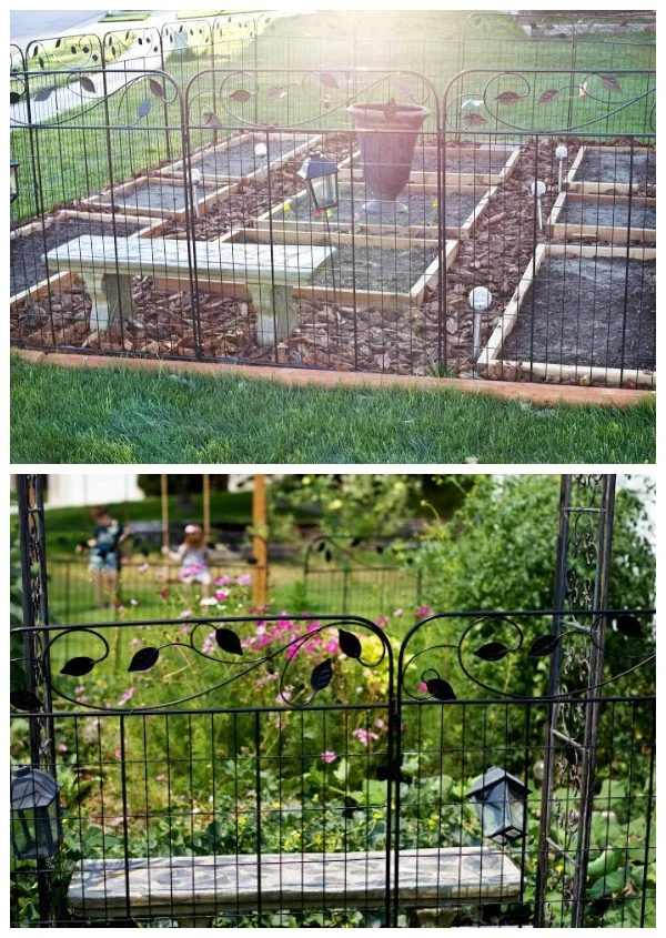 Tidbits from the Tremaynes garden design