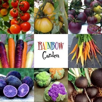 Not Just a Housewife rainbow garden, Gardening options for your whole family!
