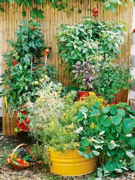 BH&G container garden, Gardening options for your whole family!