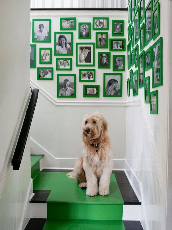 green frames and stair runner
