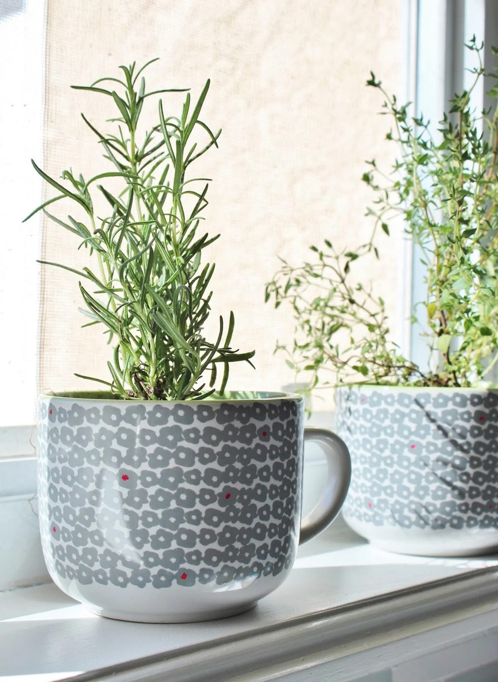 grey coffee mug herb planters in the windowsill, House For Five featured on Bekob