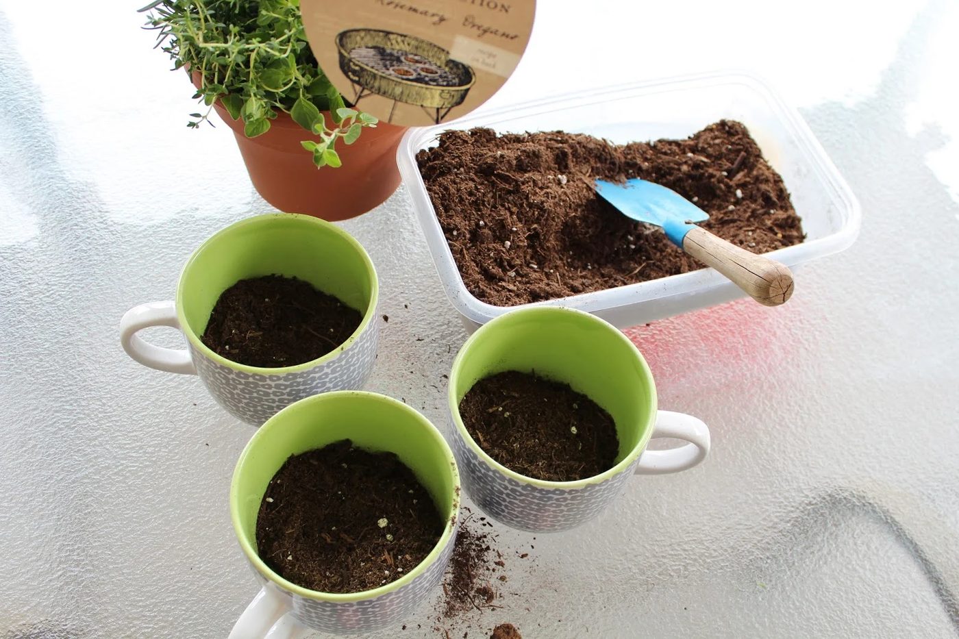 coffee mug herb garden, House For Five featured on Bekob