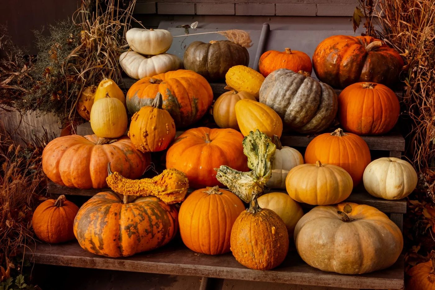 Halloween Porch Decor options Pile Of Pumpkins SS