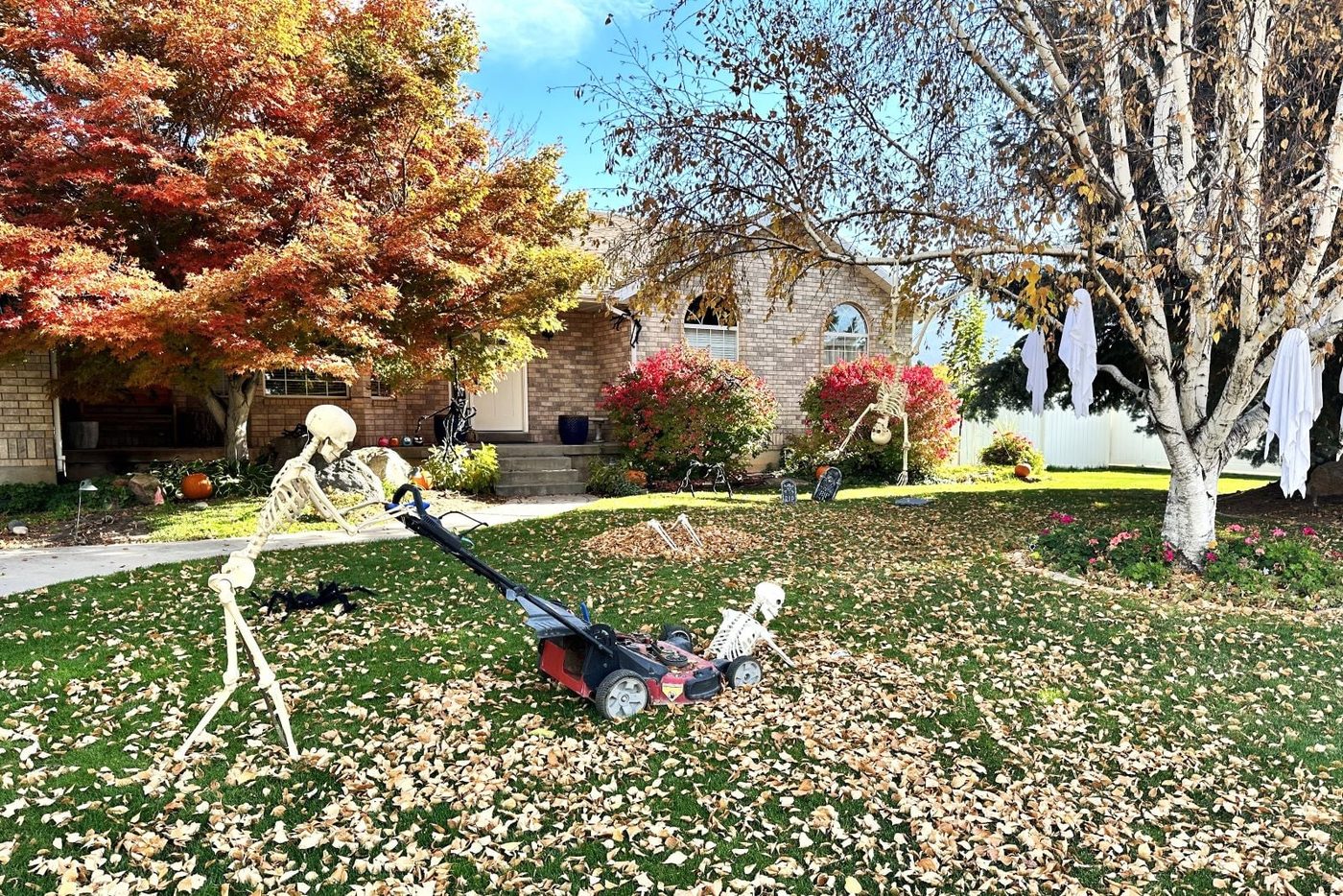 Scary Skeleton Display