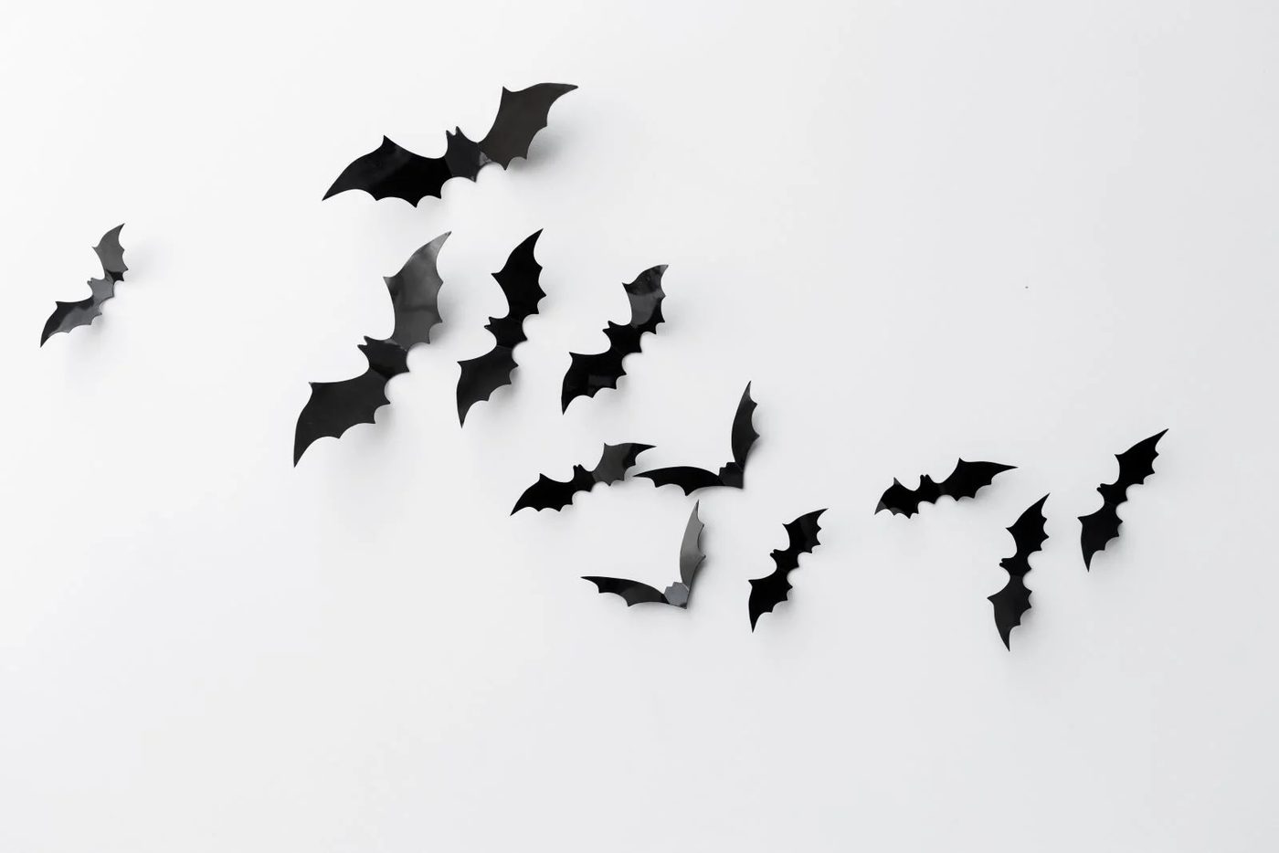 Scary Silhouettes