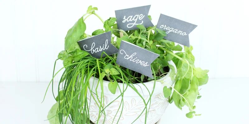 Herb Garden Chalkboard Labels