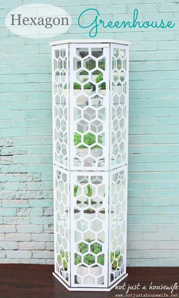 turn an old curio into a hexagon greenhouse, Not Just a Housewife