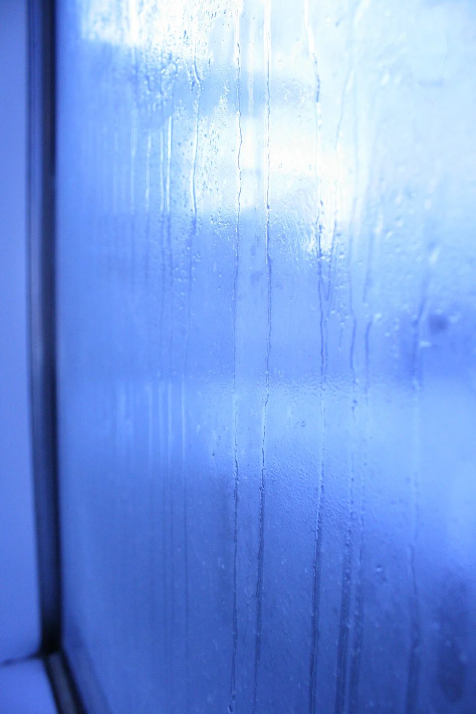 Frost covered windows4