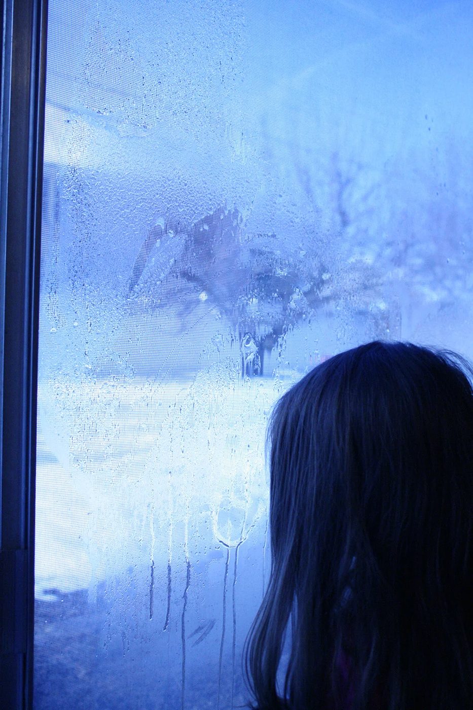 Frost covered windows