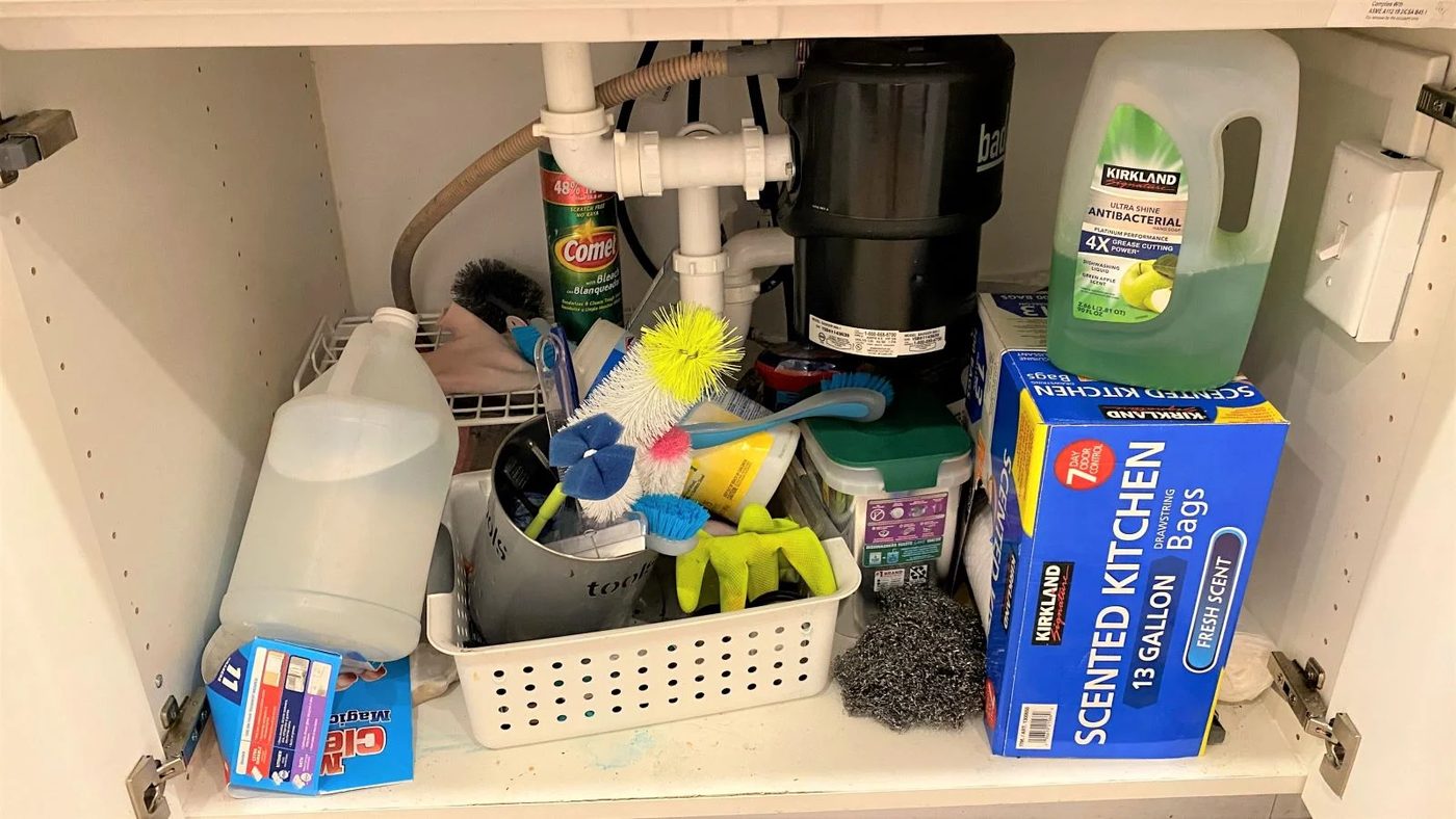 1 Under The Kitchen Sink