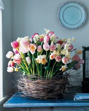 Martha Stewart tulips in nest