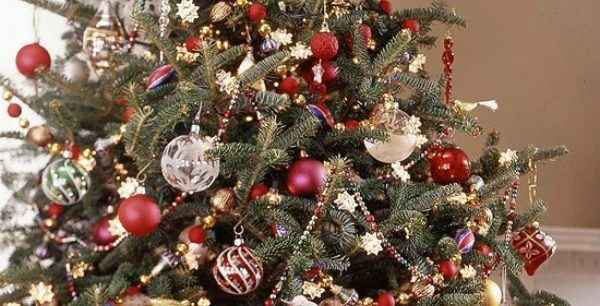 Home for Christmas; Trees