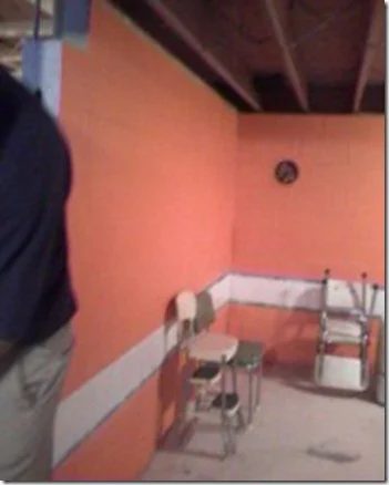 Maple Leaves and Sycamore Trees basement before