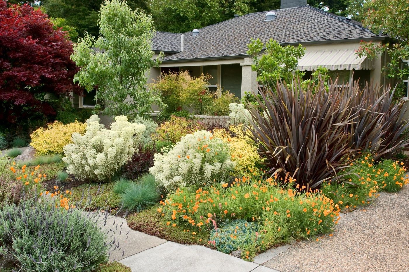 Home With Yard