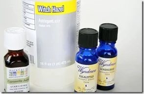 homemade natural bug spray recipe (3)
