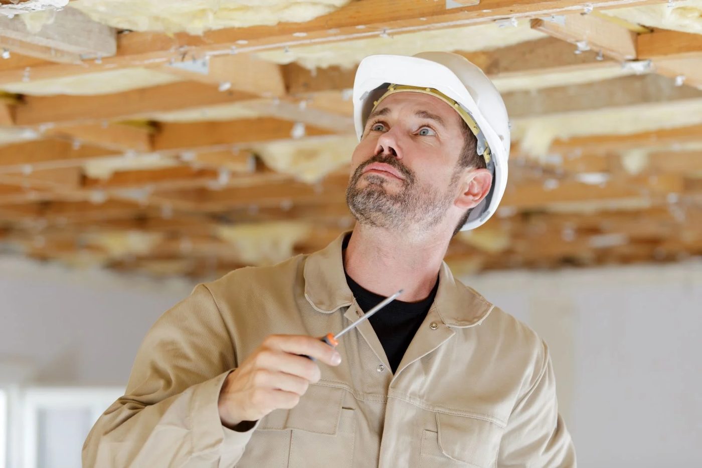 Attic Maintenance
