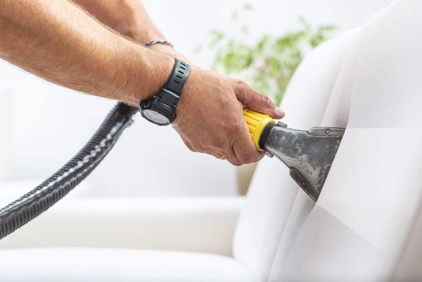 Deep Cleaning Sofa