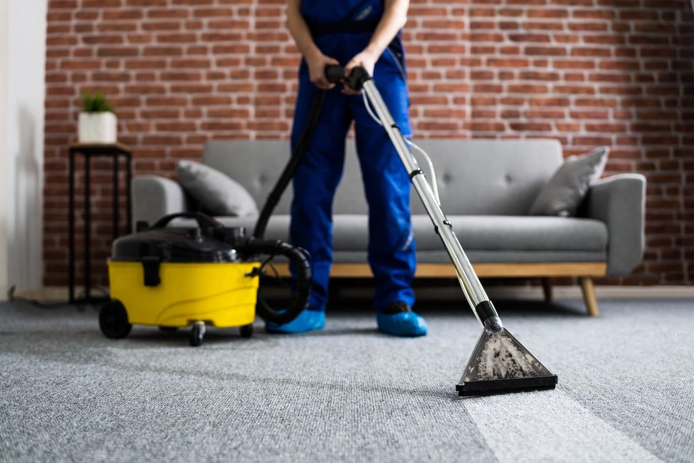 Vacuum Carpet