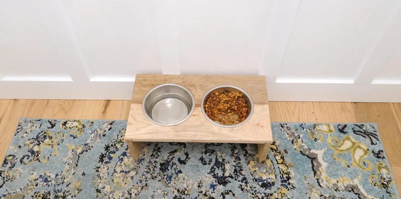 Featured Image Handmade Pet Feeder