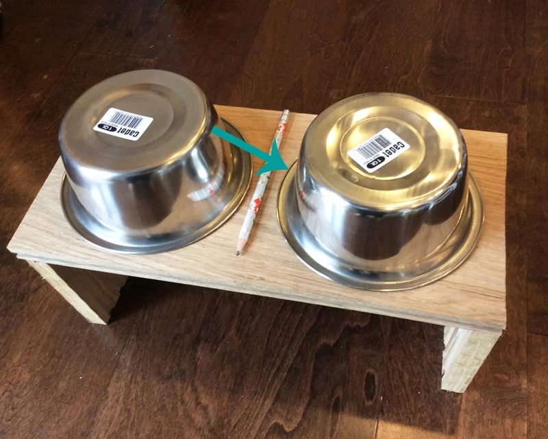 How to Make a Dog or Cat Feeder