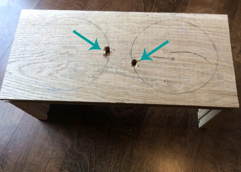 How to Build a Pet Feeder