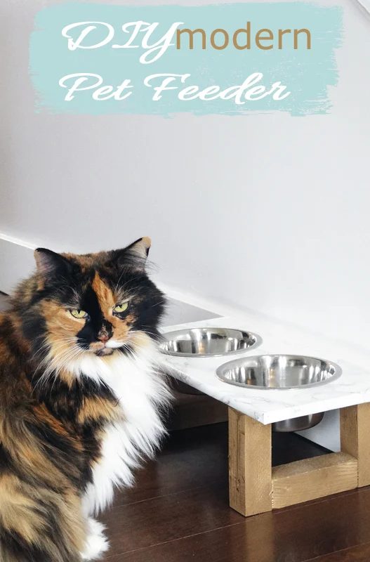 Modern Feeder
