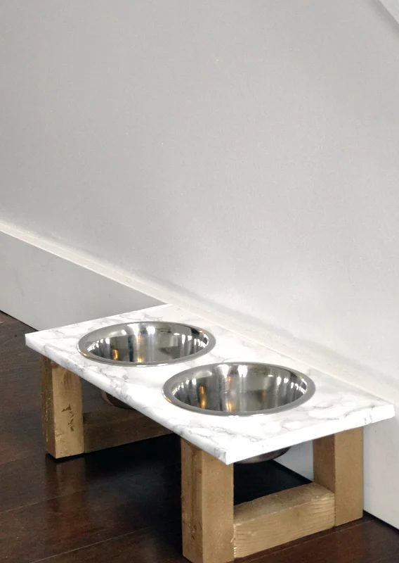 Modern Pet Feeder
