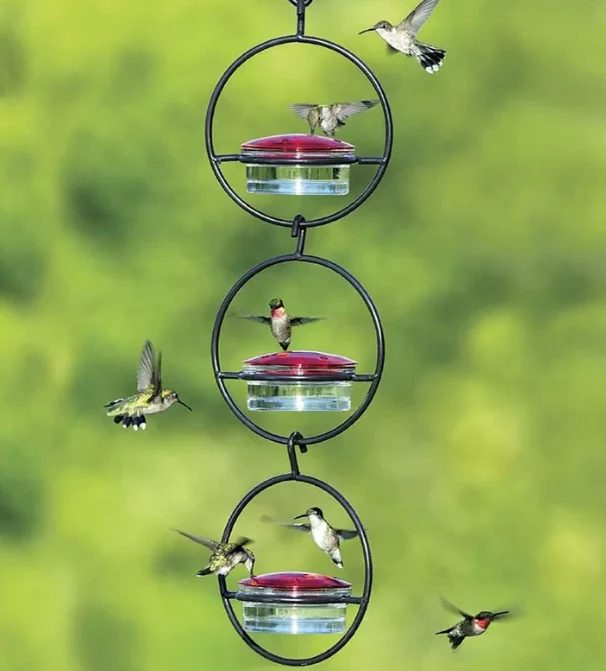 Hummingbird Feeder
