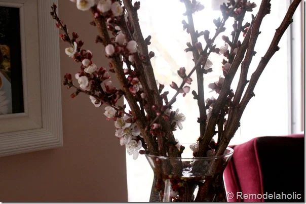 forcing branches 3