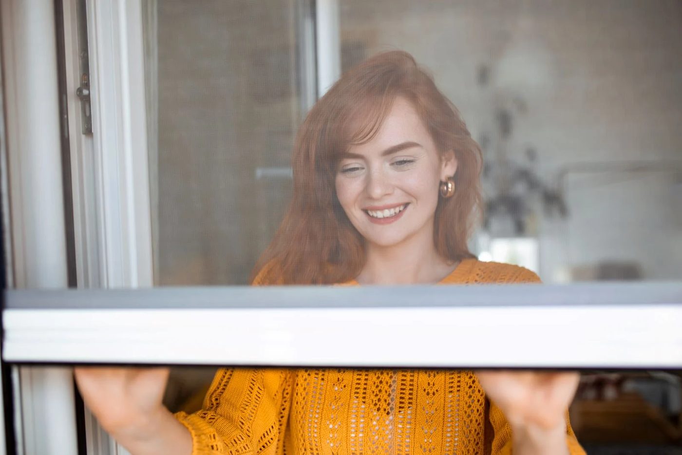 Window Screen