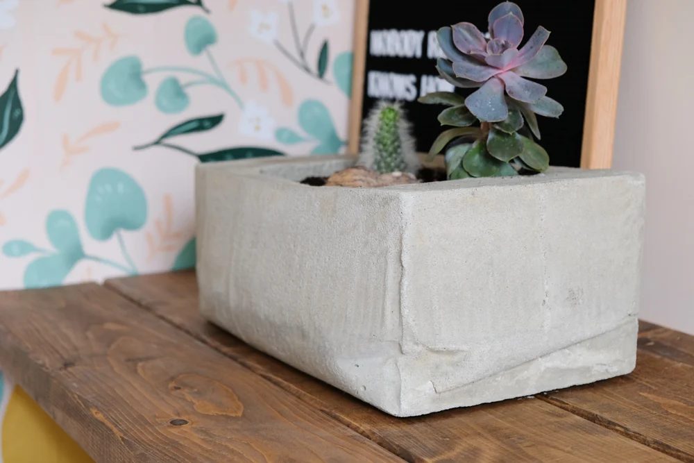 Bekob Concrete Planter By The Leaerner Observer 10