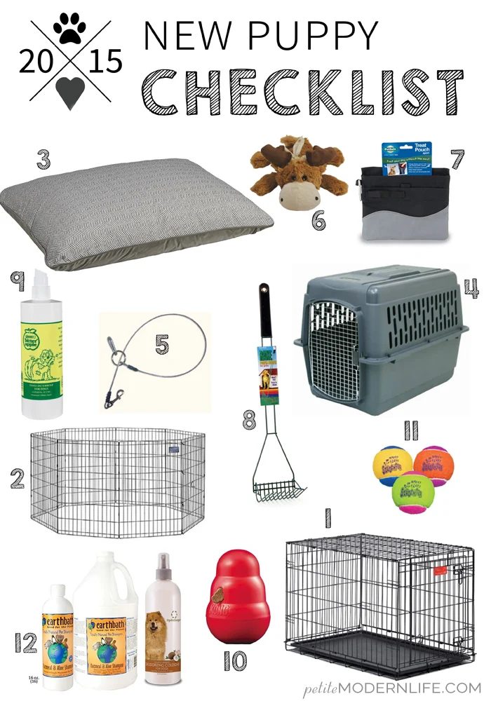memorable items and tips to be set for your new puppy!