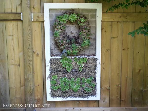 via Empress of Dirt - old window as a succulent planter - via Bekob