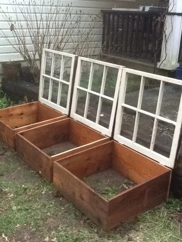 For The Love of Lillian - old windows as greenhouse cold frame doors - via Bekob