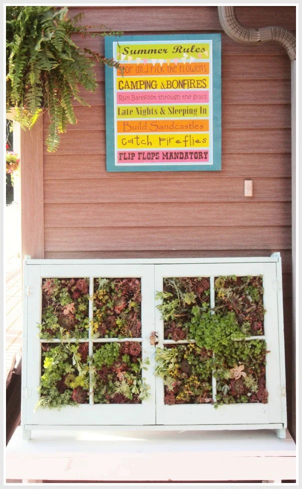 Second Chance to Dream - vertical succulent garden from old windows - via Bekob