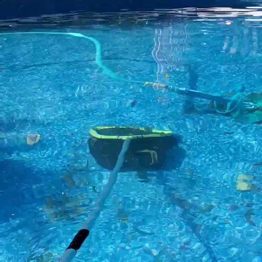 Cleaning The Pool Debris