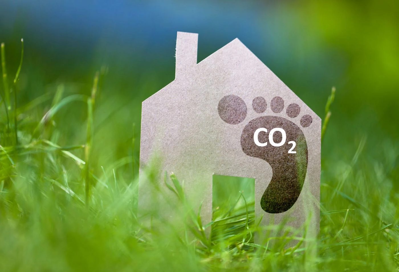 Carbon Footprint