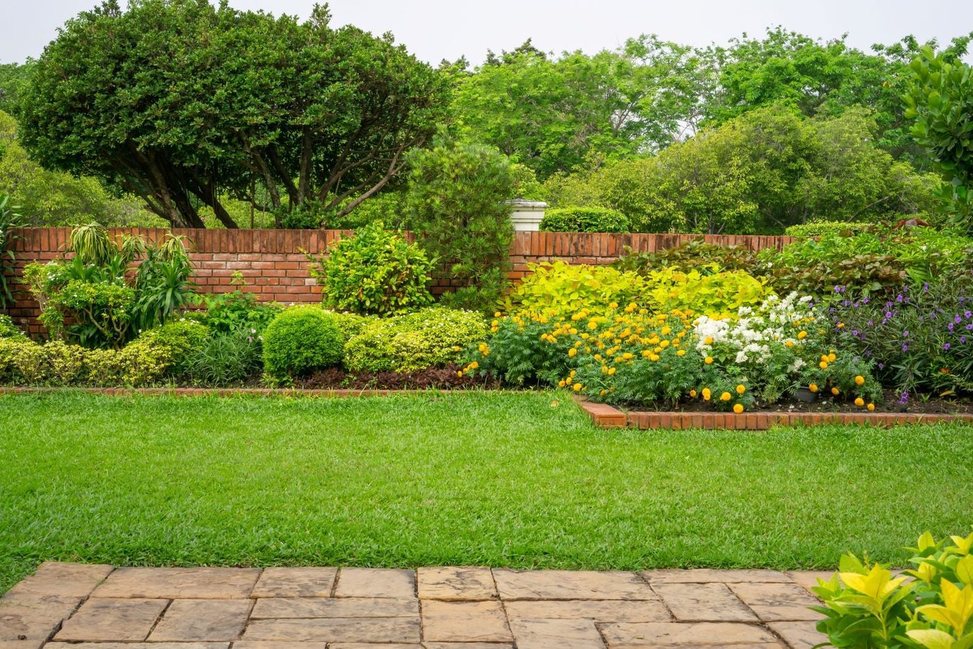 Lawn And Garden