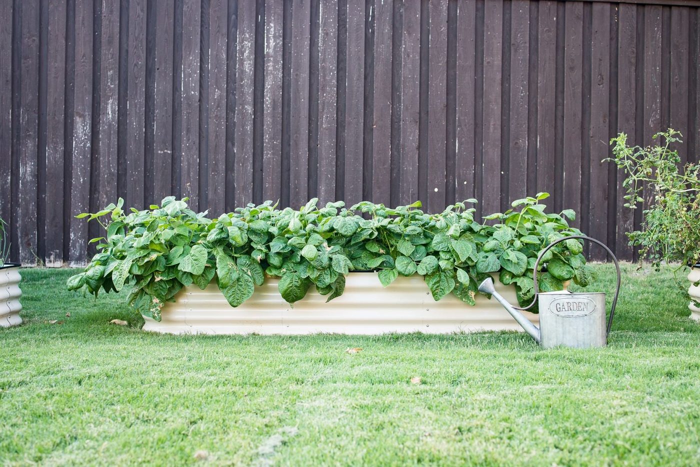 Metal Planter