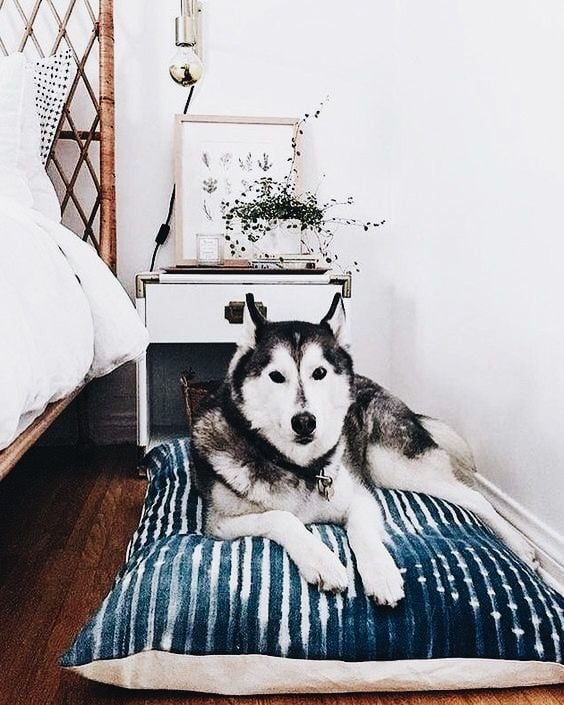 Indigo Mudcloth Decorating Inspiration